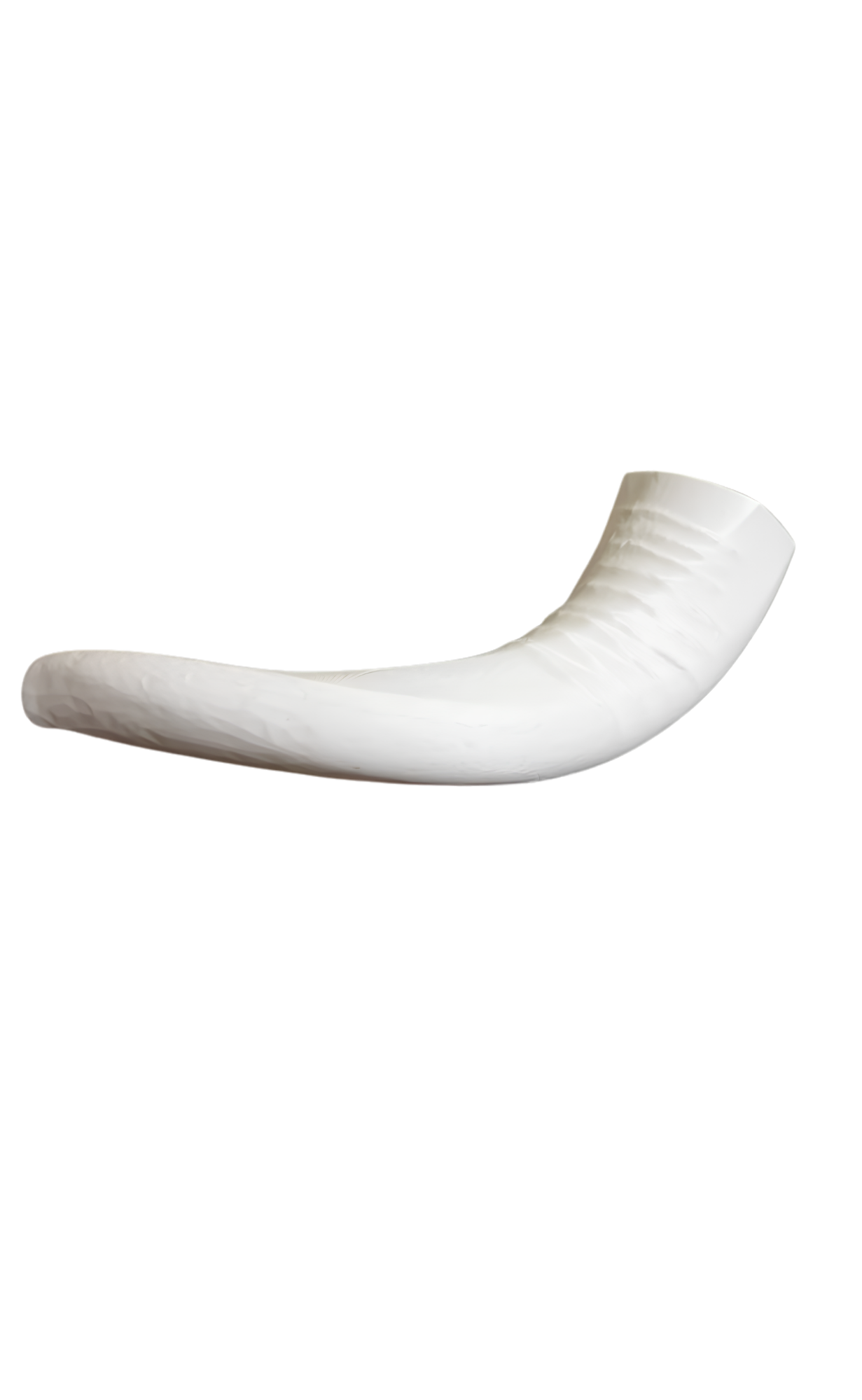 Shofar Ceremonial
